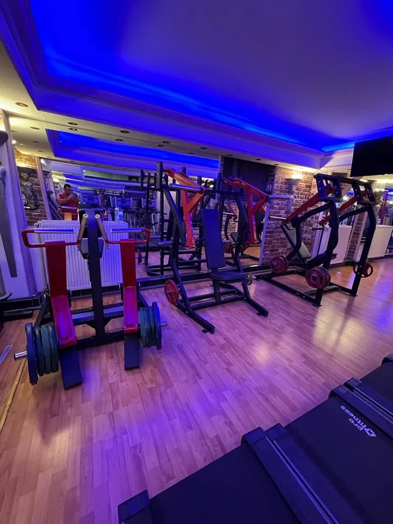 World Body Gym izoleli makine alanı - kontrollü antrenman