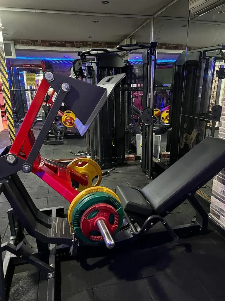 World Body Gym izoleli kas grubu makineleri - kişiye özel program