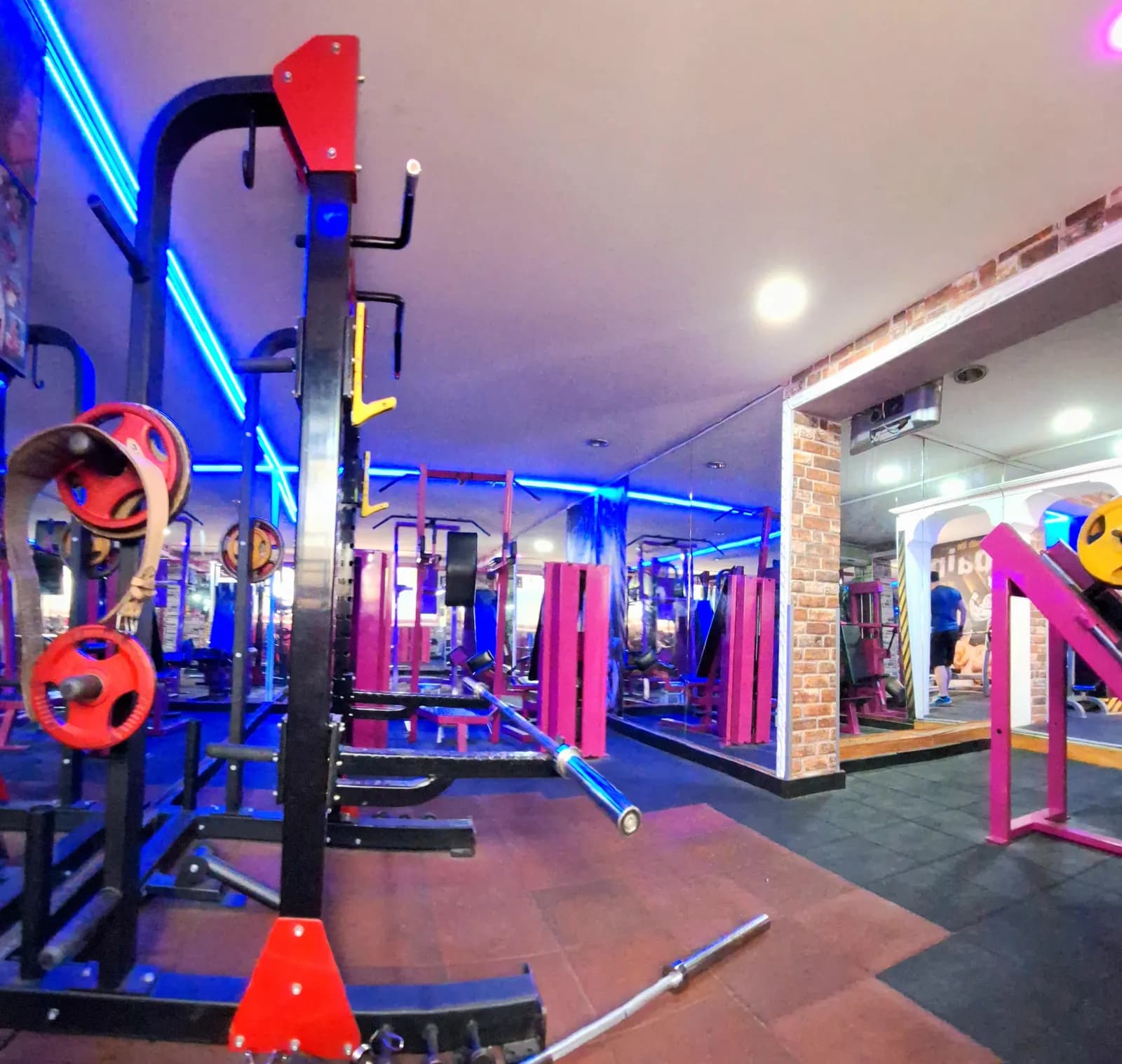 World Body Gym serbest ağırlık alanı - vücut geliştirme antrenmanı